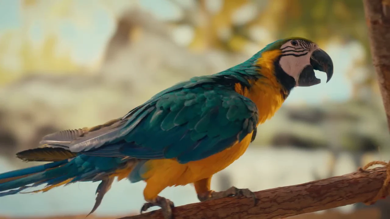 A macaw lit at golden hour, from the ADREC campaign